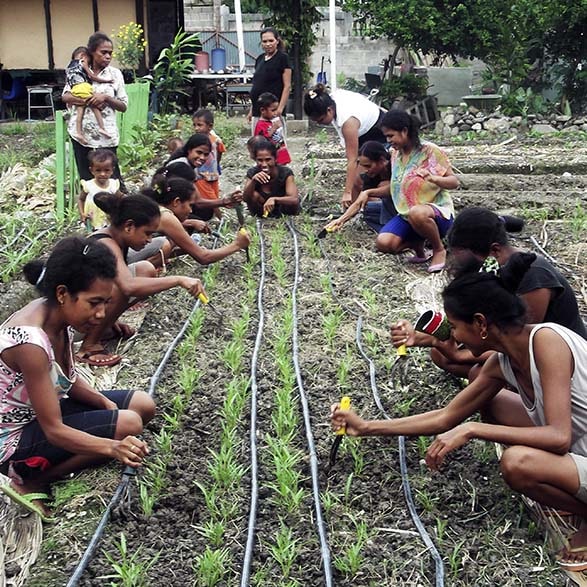FOSTERING NUTRITION-SENSITIVE AGRICULTURE