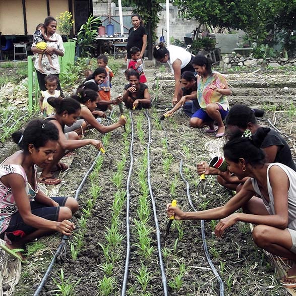 FOSTERING NUTRITION-SENSITIVE AGRICULTURE